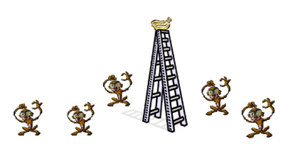 Sindrome nunca siempre lo hicimos asi