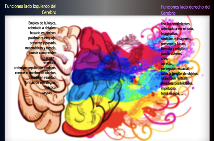Funciones Hemisferios Cerebrales