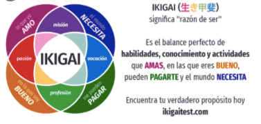 Ikigai test