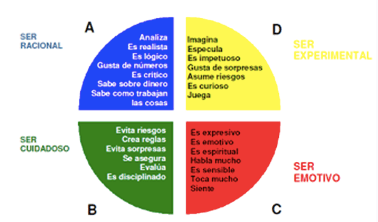 Los 4 cerebros de Herrmann