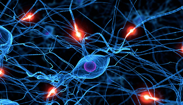 Neuroplasticidad cerebral